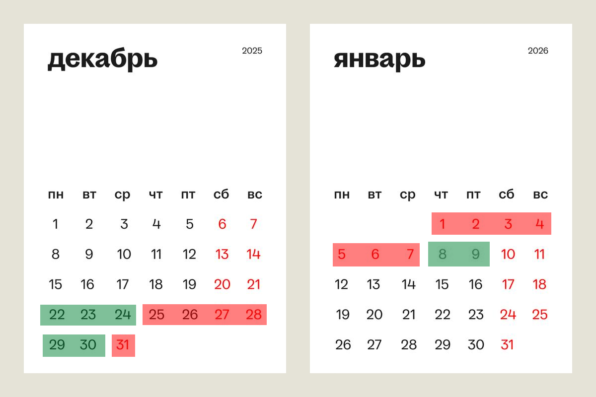 Режим работы интернет-магазина в Новогодние праздники 2026!
